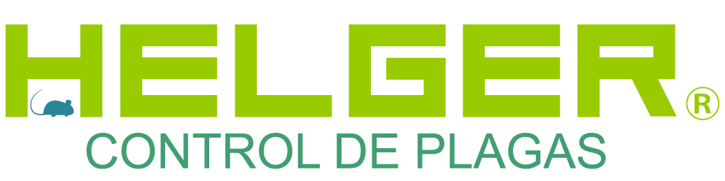 helger.cl